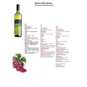 Wholesale VINO BIANCO DELLE VENEZIE IGT